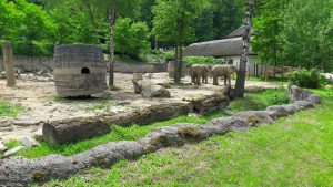 zoo-zlin-slon