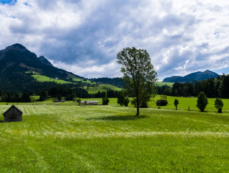 Potulky po očarujúcom Štajersku, zelenom srdci Rakúska