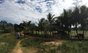 Zo života s horolezcom… a zo života na Kube (časť tretia – Viñales)