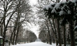 5 zimných aktivít v úžasných luxemburských Ardenach