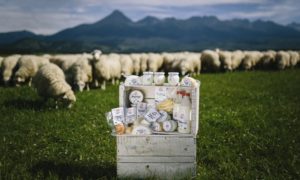 Agrofarmy, kde si kúpite poctivé slovenské výrobky